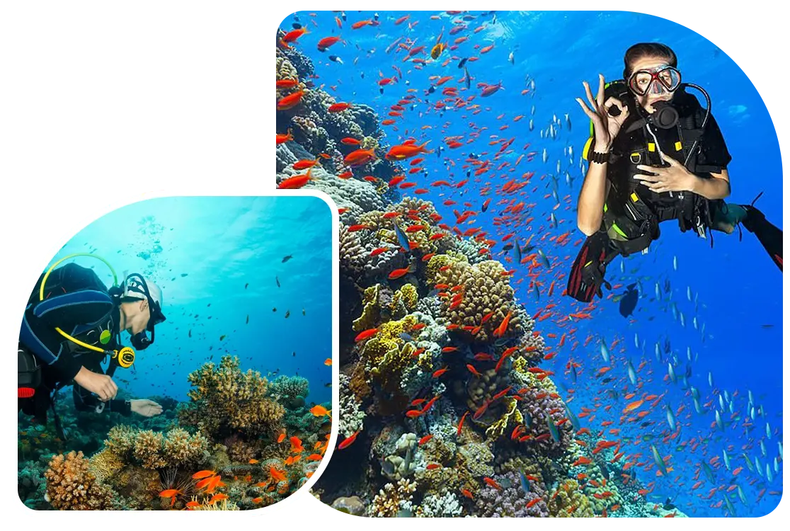 Sea Andaman Tours and Travels